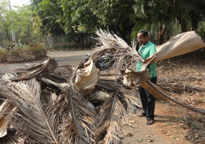 Satat Swachhata Abhiyan 