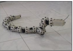 Snake Robot
