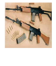 5.56 mm INSAS FAMILY