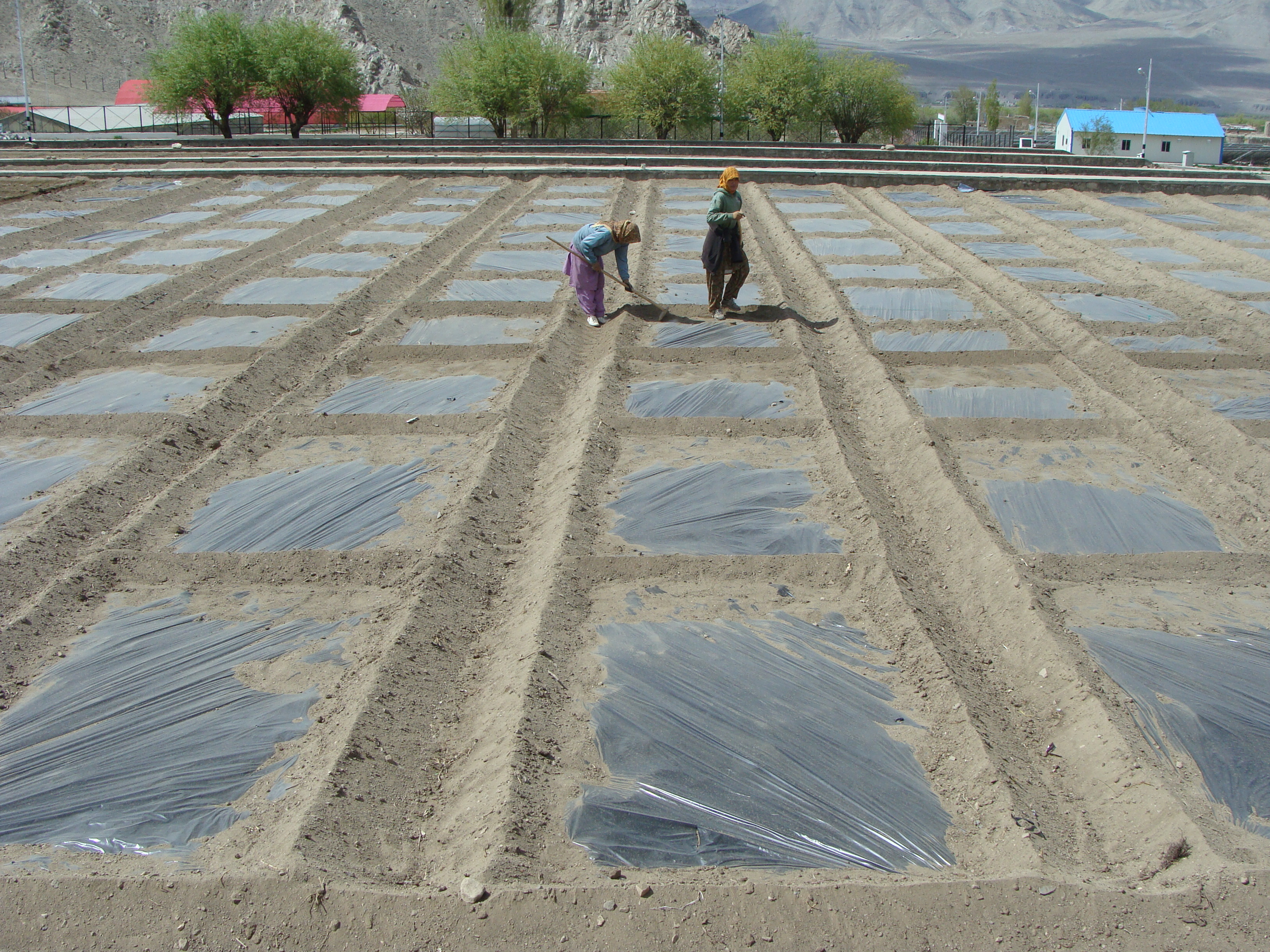 Mulching technology