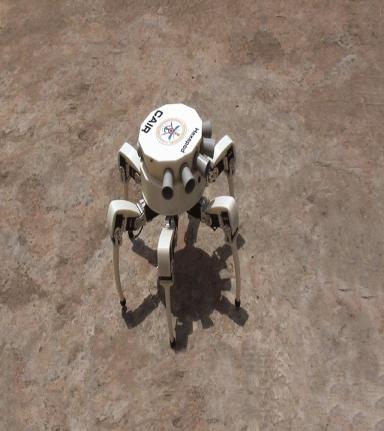Omni Hexbot