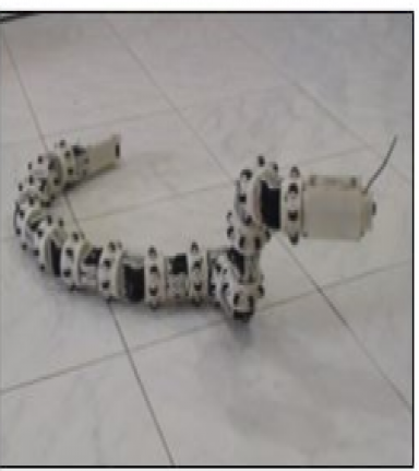 Snake Robot
