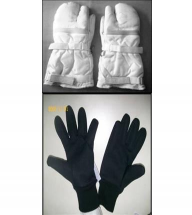 Gloves ECW 