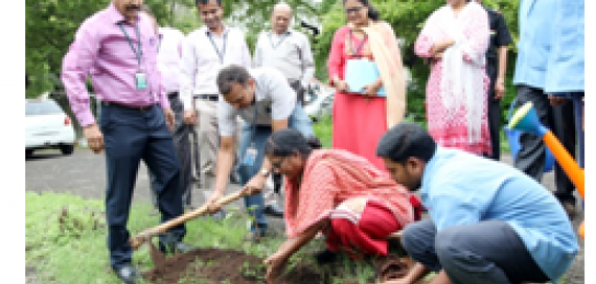 हरित पहल