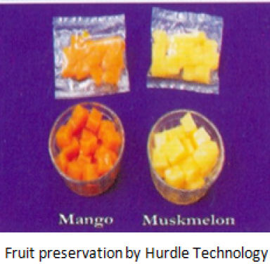 Hurdle Technology for fruit preservation