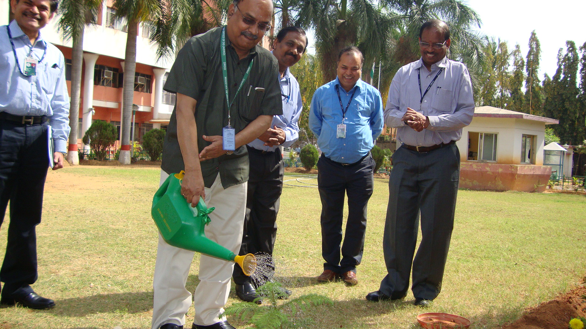 tree plantation