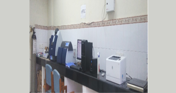 DIBER, Infrastructure Facilities