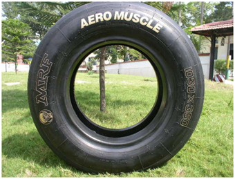 Aircraft Tyres for MiG 29K and Su-30MKI