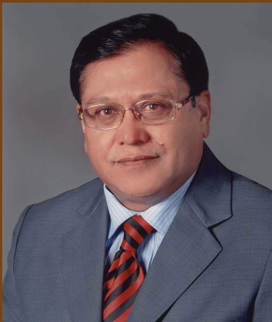 Dr VK Saraswat