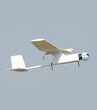 Micro/Mini Air Vehicles