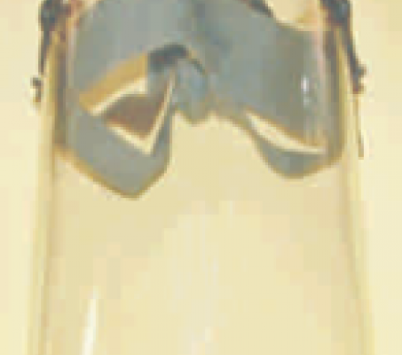 FACE MASK (UNIVERSAL