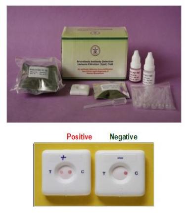 Brucellosis Detection Kit