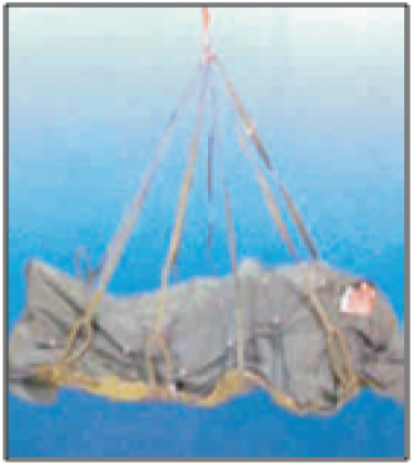 BAG CARRYING RESCUE