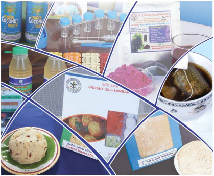 Defence Food Research Laboratory (DFRL)
