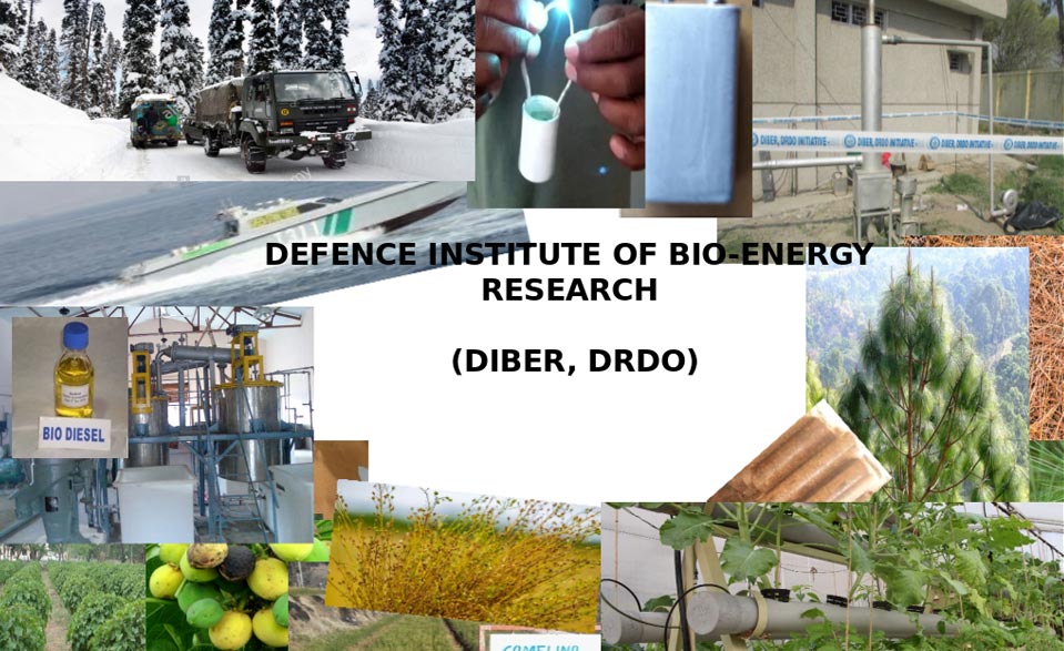 Defence Institute of Bio-Energy Research